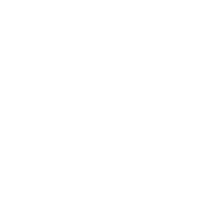IT Service EC